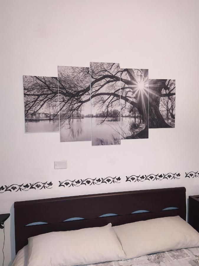 Fercla Appartamento Фиано Романо Екстериор снимка